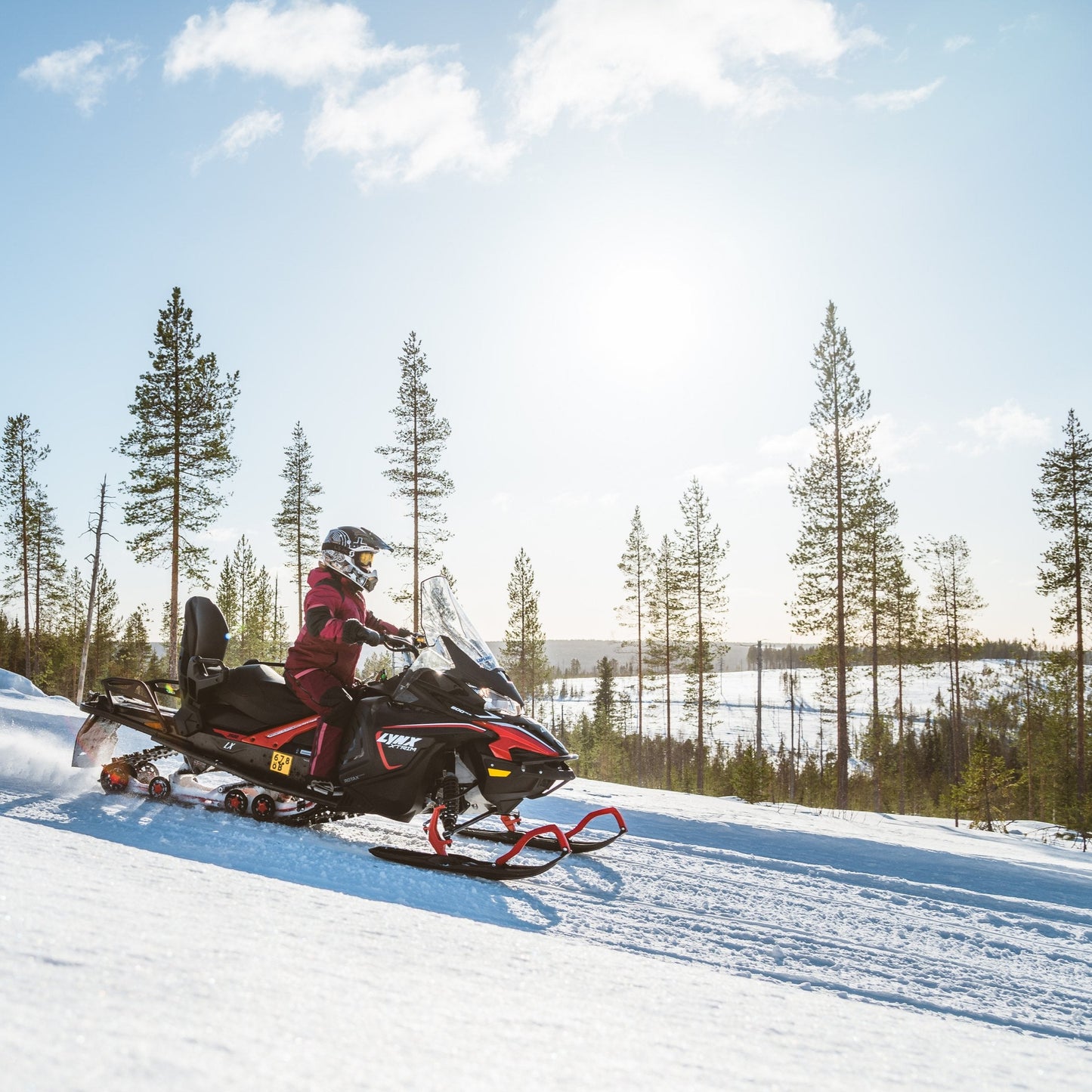 Guided Snowmobile Safari – 2 Hours