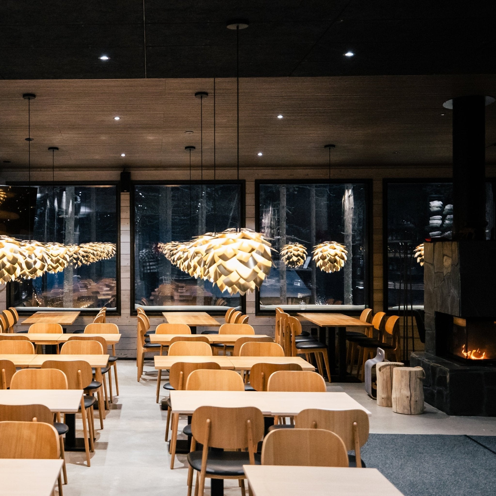 Area Ticket + Lunch buffet Bundle - Lapland Winter Park