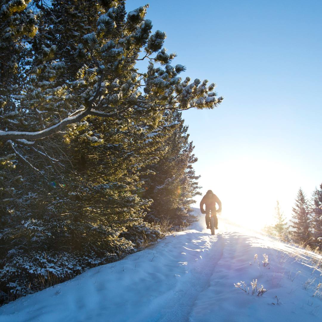 eFatbike safari - Lapland Winter Park