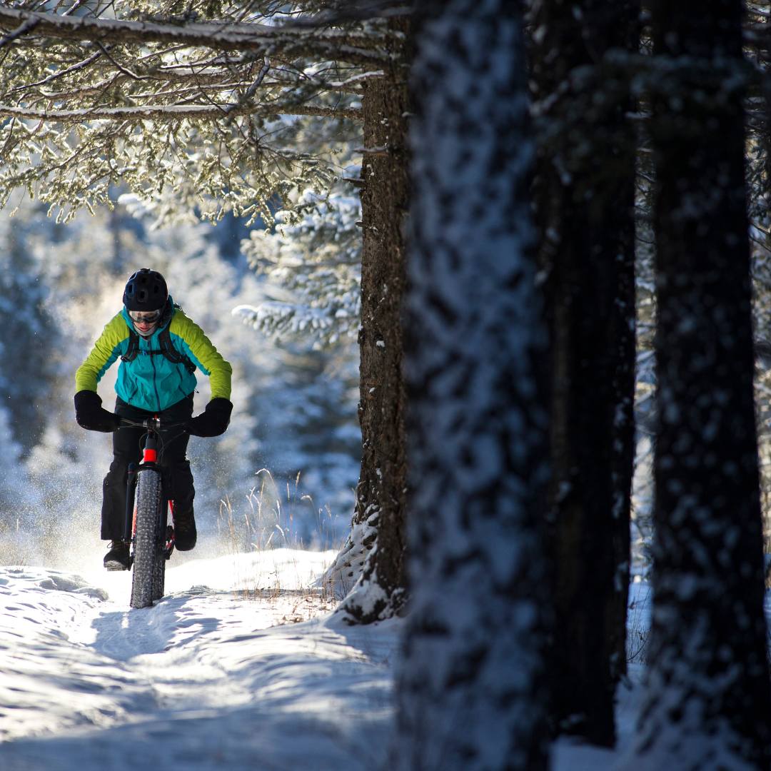 eFatbike safari - Lapland Winter Park