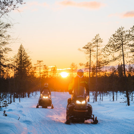 Guided Snowmobile Safari – 2 Hours