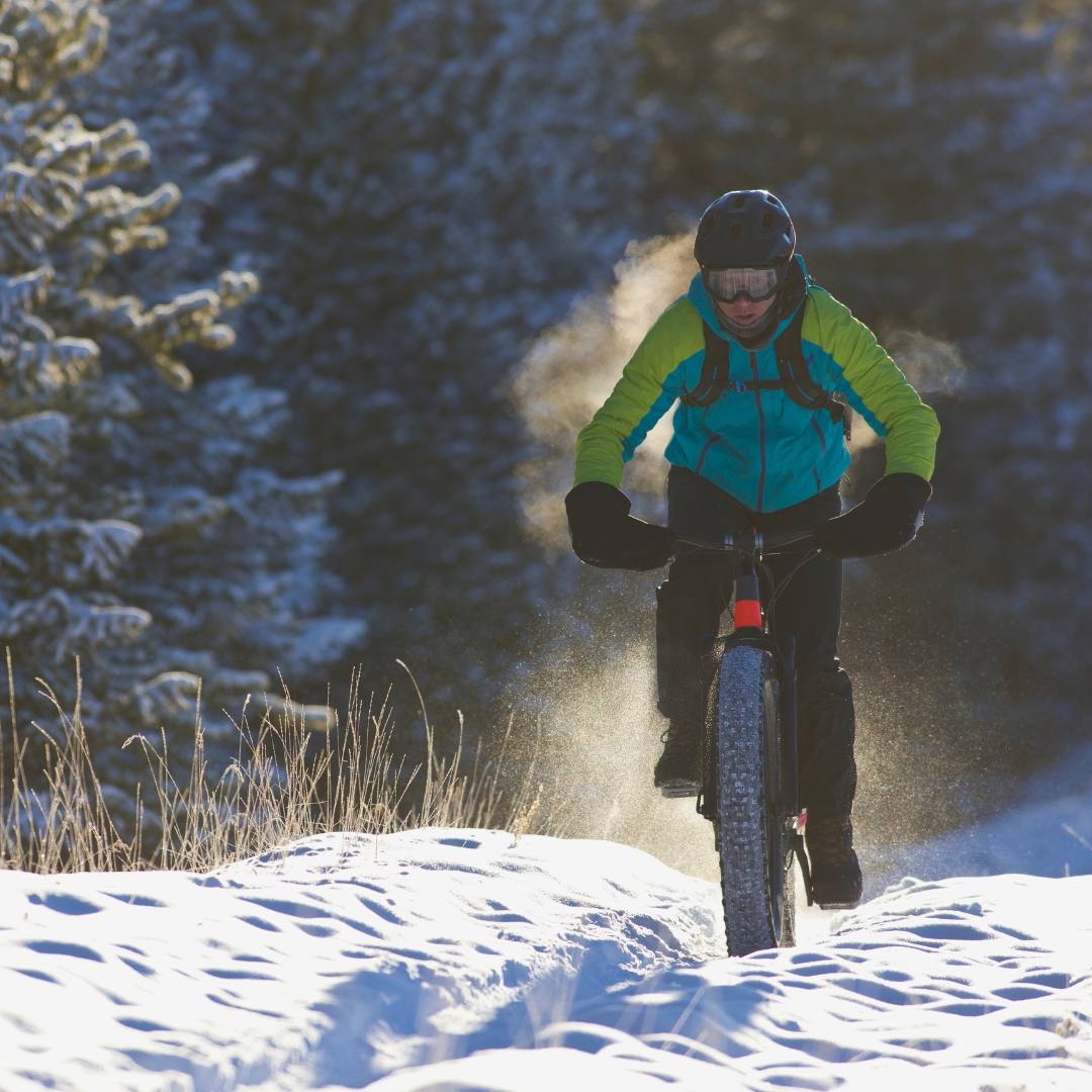 eFatbike safari - Lapland Winter Park