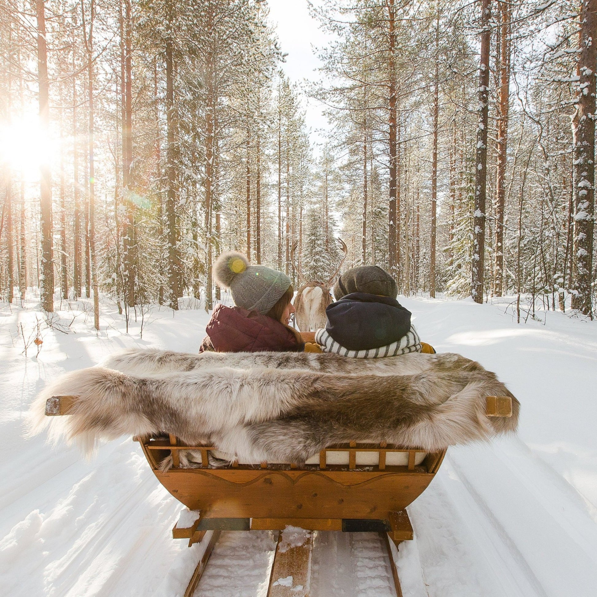 Lapland Winter Park Ultimate Bundle: Area Ticket + Lunch + Sleigh Ride - Lapland Winter Park